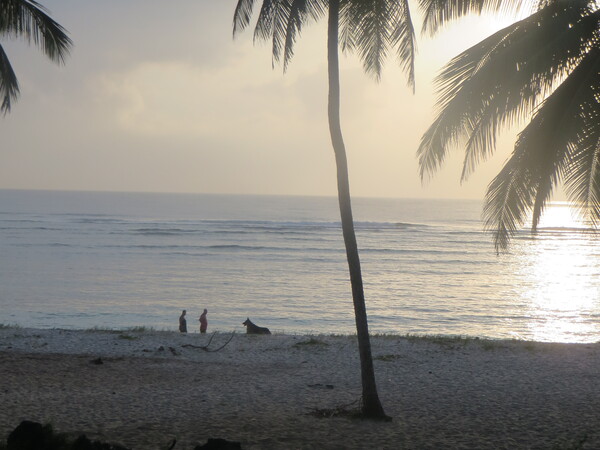 Tiwi Beach