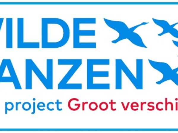 Nieuws 2024
